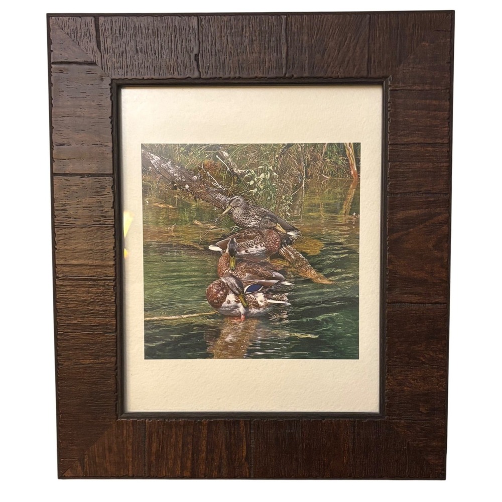 Framed Mallard Duck Wildlife Art Print | Rustic Wood Frame | Cabin Decor 12x14